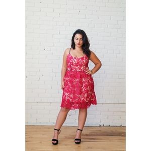 ABS by Allen Schwartz | Lace overlay summer cocktail dress